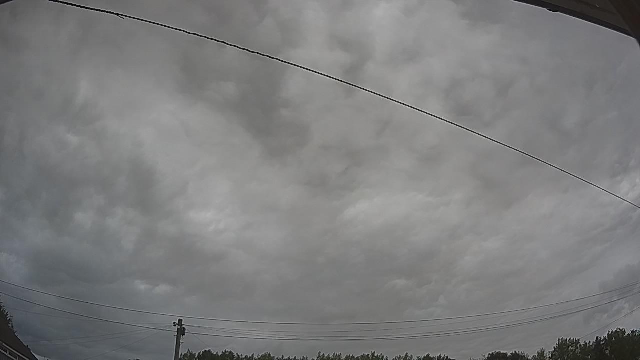 20260807_104936_cam2.jpg