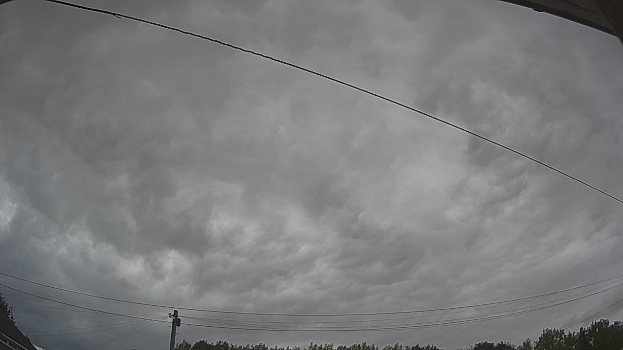 20260807_105337_cam2.jpg