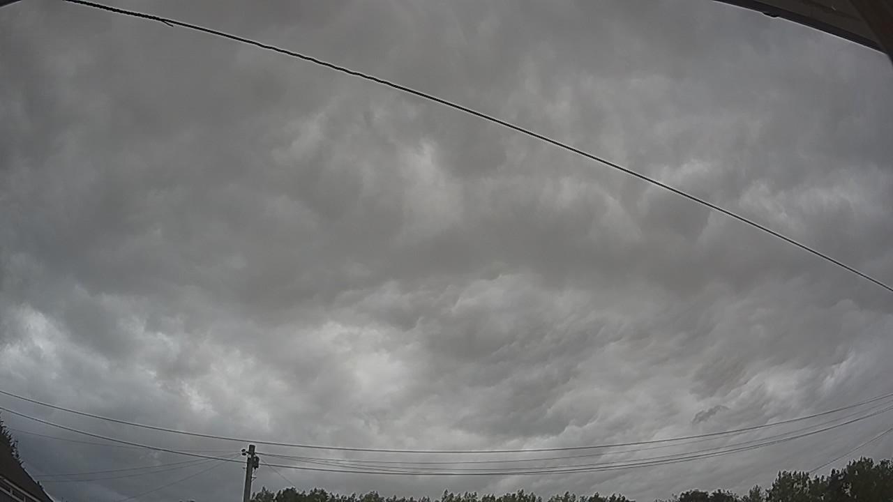 20260807_105738_cam2.jpg