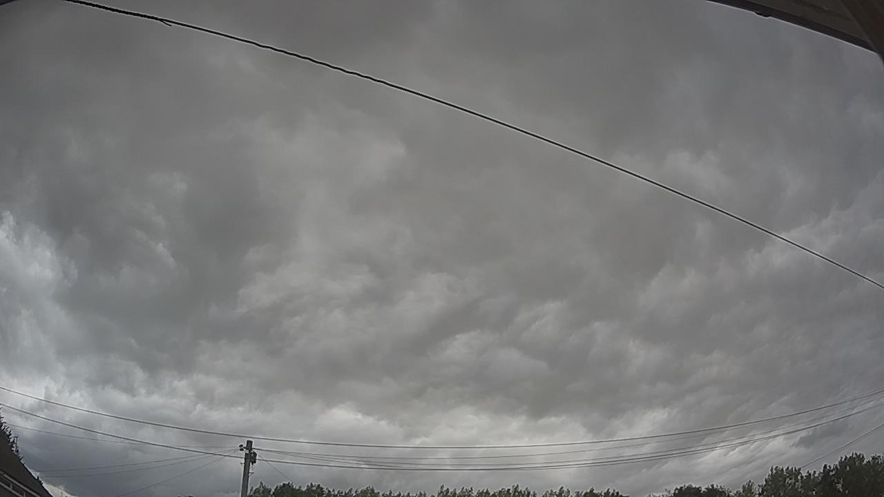 20260807_110148_cam2.jpg