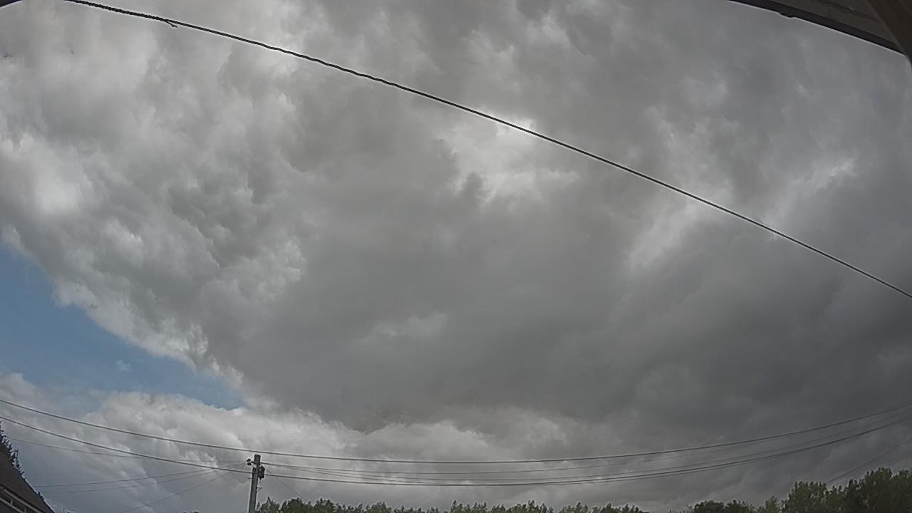 20260807_111009_cam2.jpg