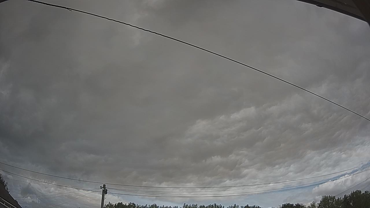 20260807_112647_cam2.jpg
