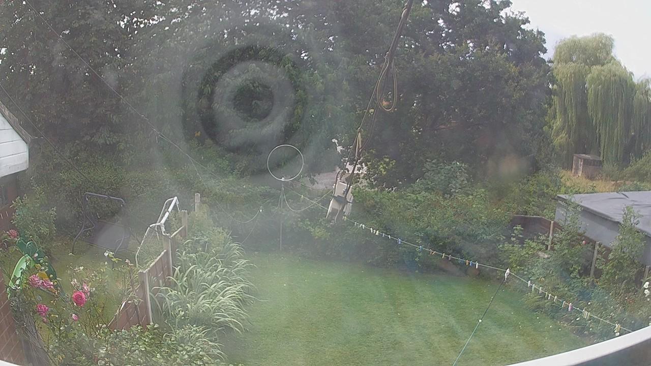 20260807_113055_cam1.jpg