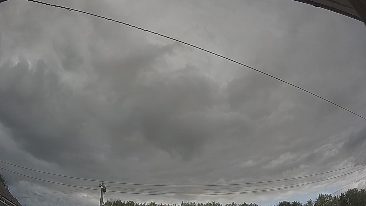 20260807_113056_cam2.jpg