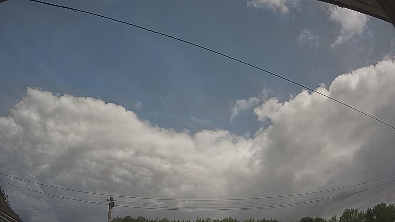 20260807_113913_cam2.jpg