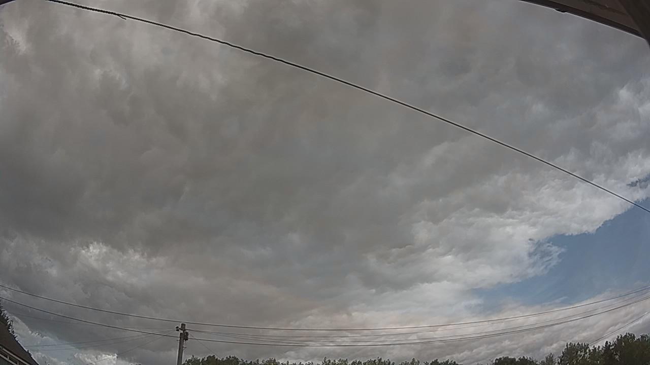 20260807_115141_cam2.jpg