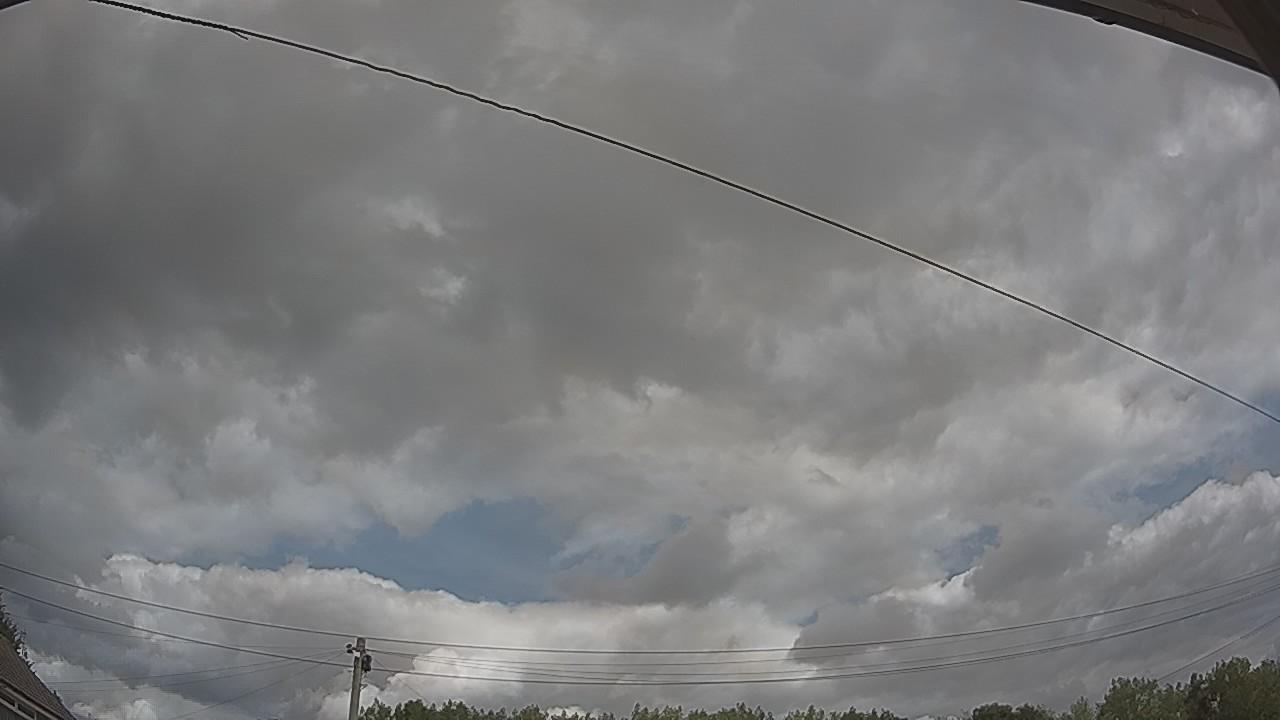 20260807_120333_cam2.jpg