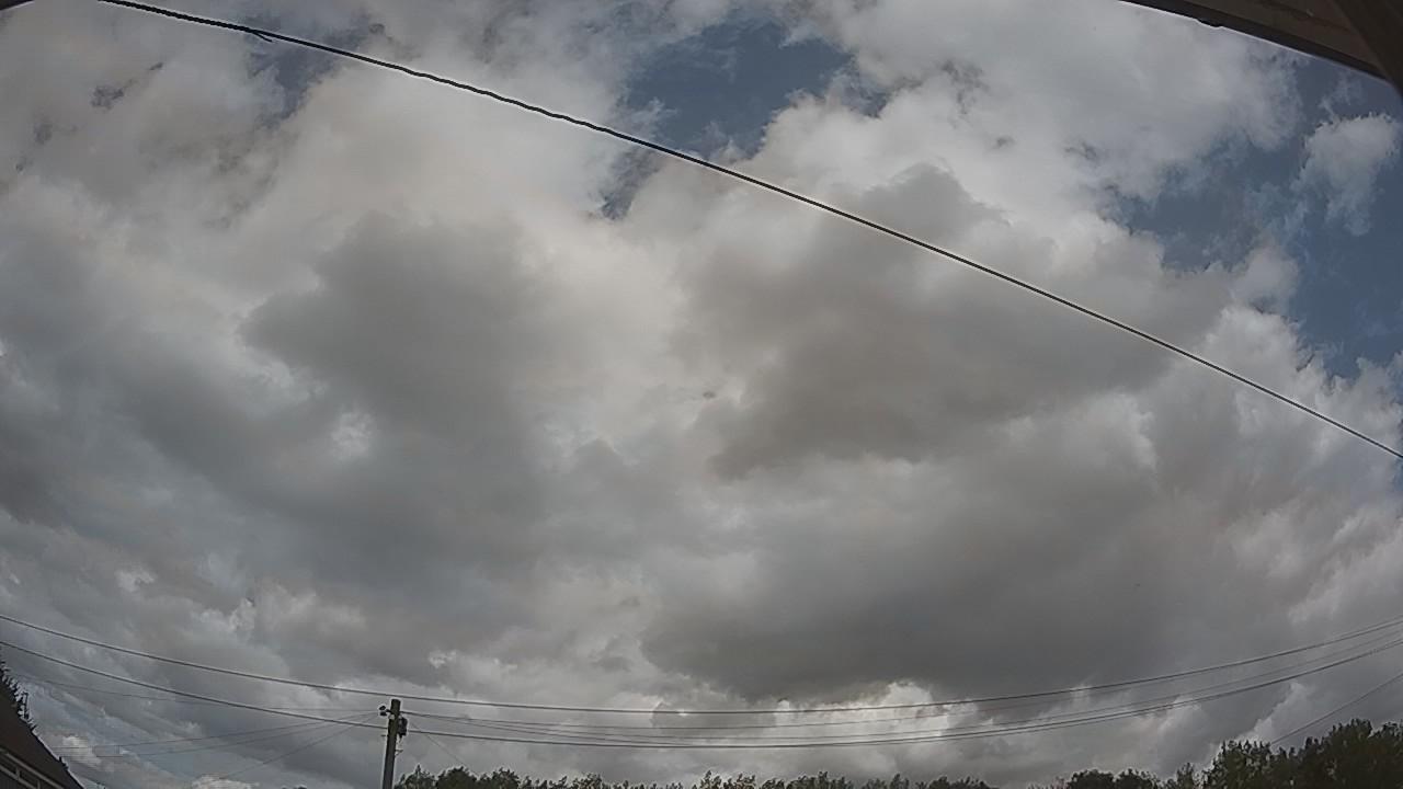 20260807_123106_cam2.jpg