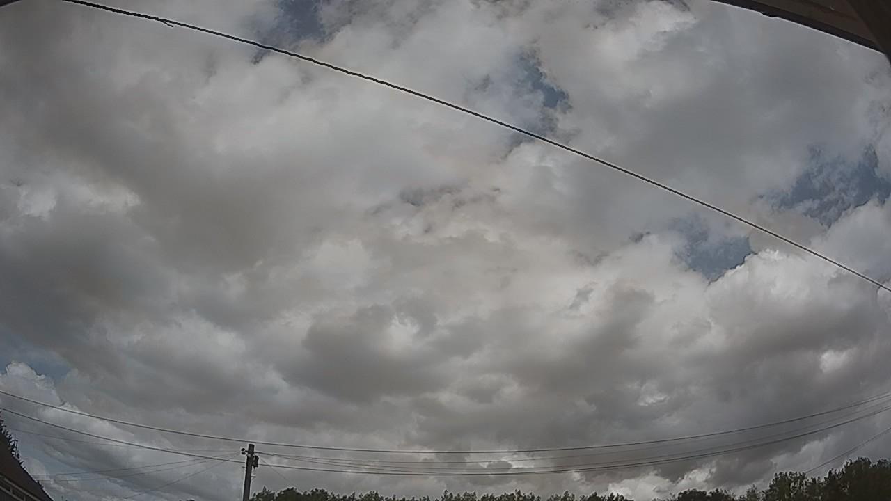 20260807_123533_cam2.jpg