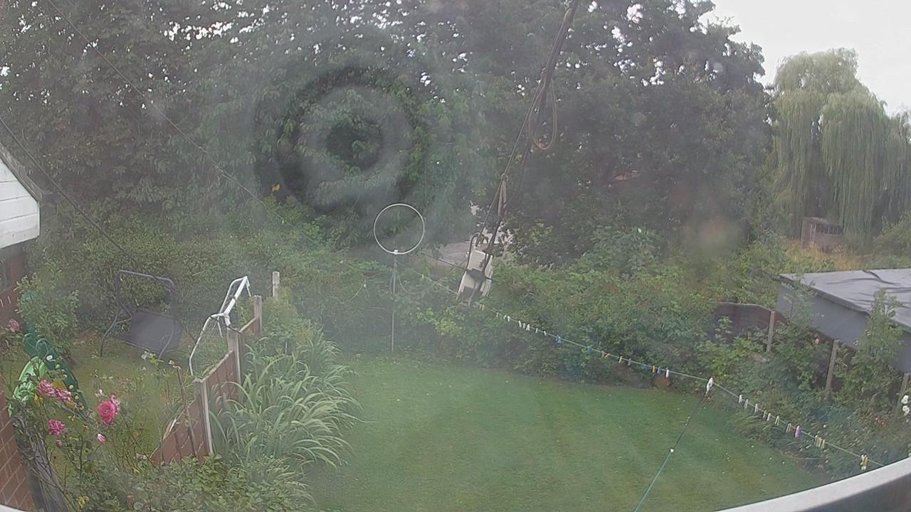 20260807_133110_cam1.jpg