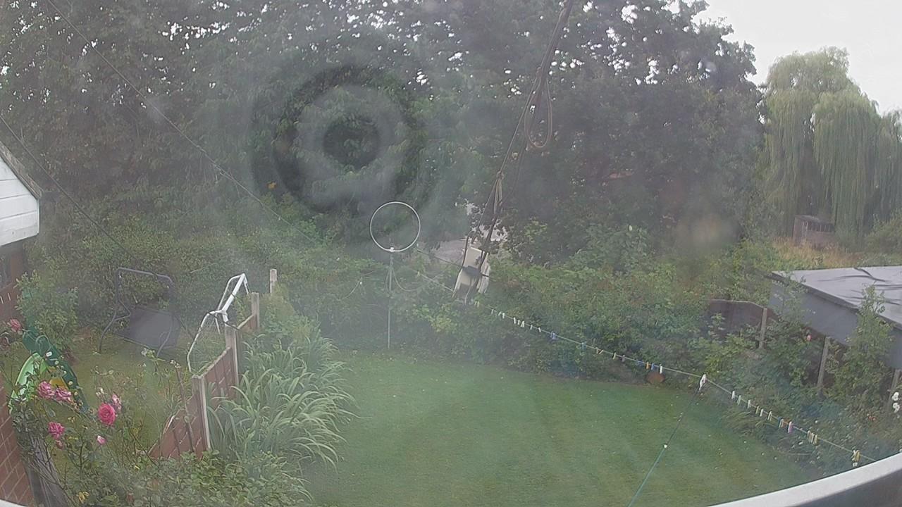 20260807_133538_cam1.jpg