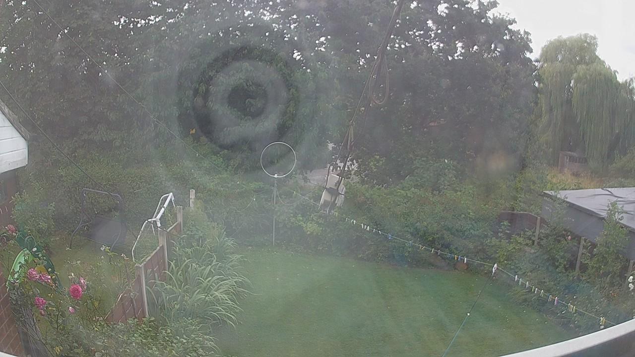 20260807_134006_cam1.jpg