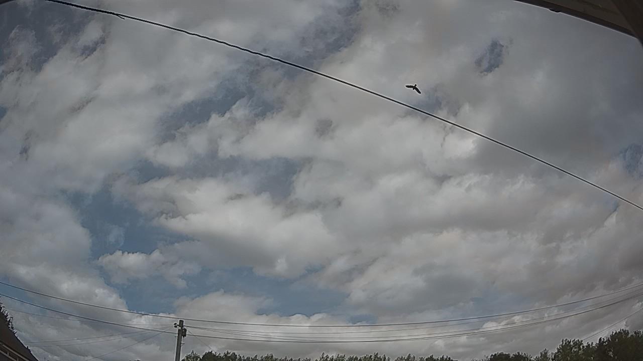 20260807_134007_cam2.jpg