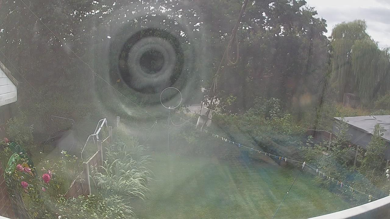 20260807_134901_cam1.jpg