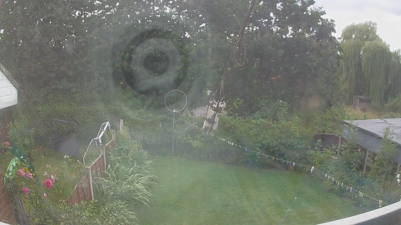 20260807_135329_cam1.jpg