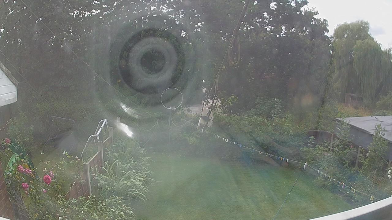 20260807_140207_cam1.jpg