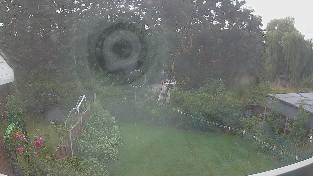 20260807_140617_cam1.jpg