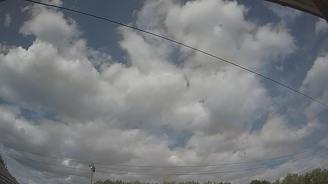 20260807_143122_cam2.jpg