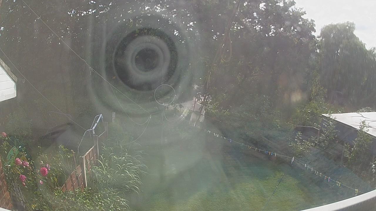 20260807_160814_cam1.jpg