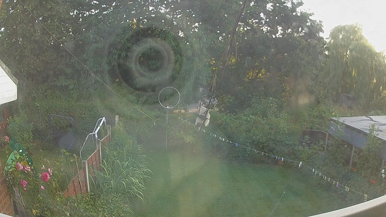 20260807_184602_cam1.jpg