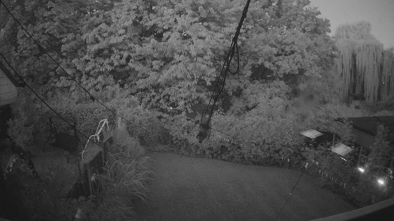 20260808_035637_cam1.jpg