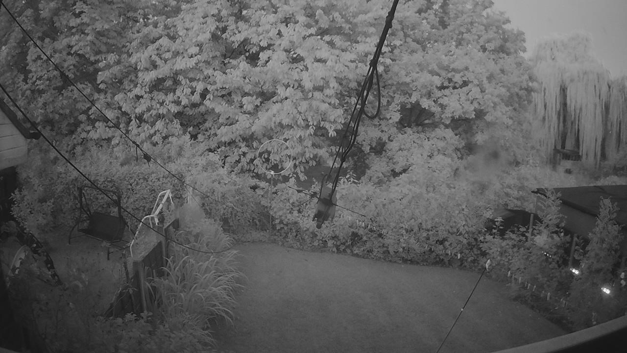 20260808_040626_cam1.jpg