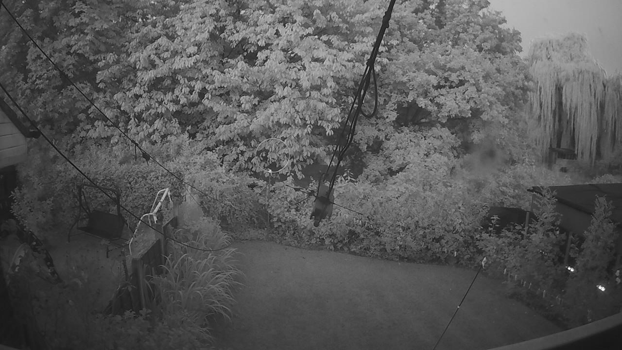 20260808_041120_cam1.jpg