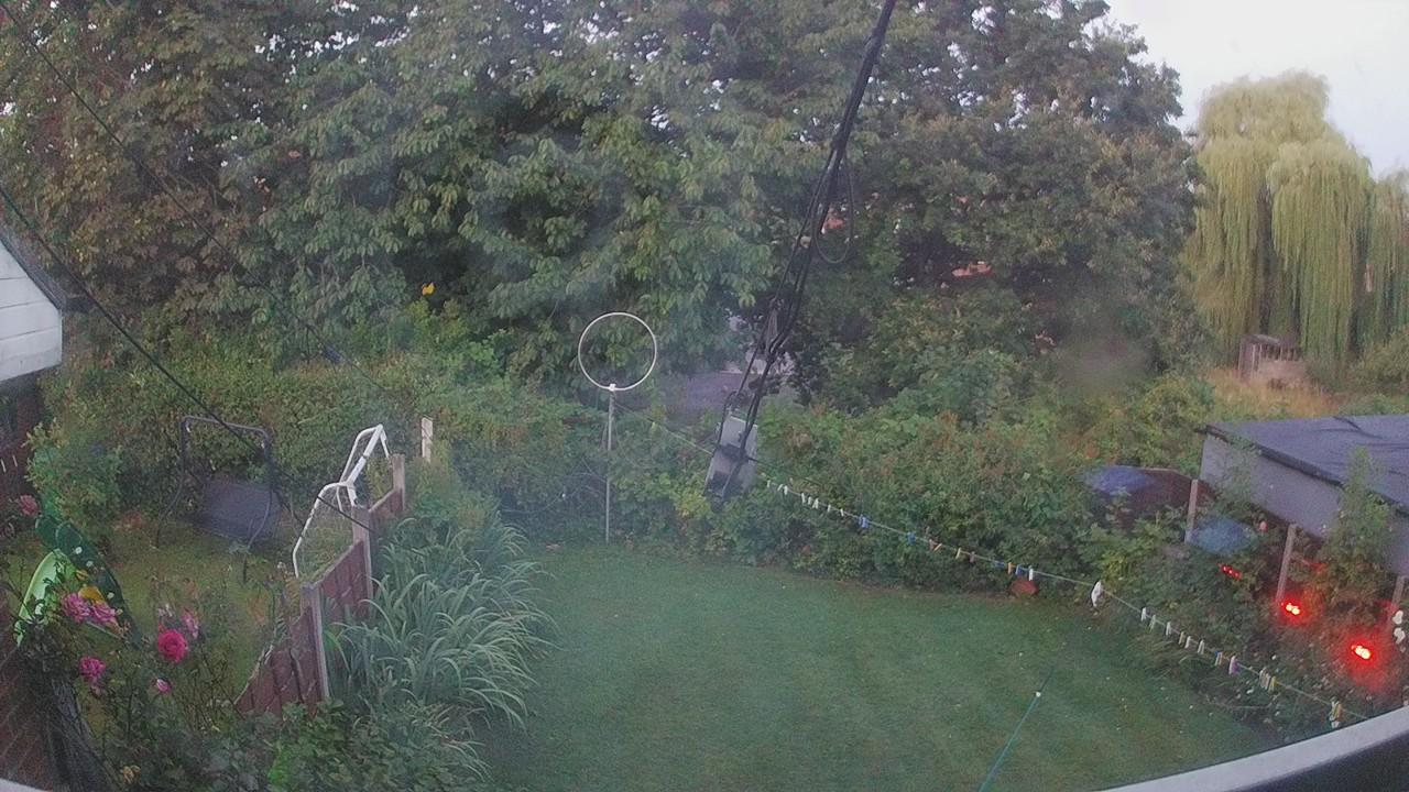 20260808_041615_cam1.jpg