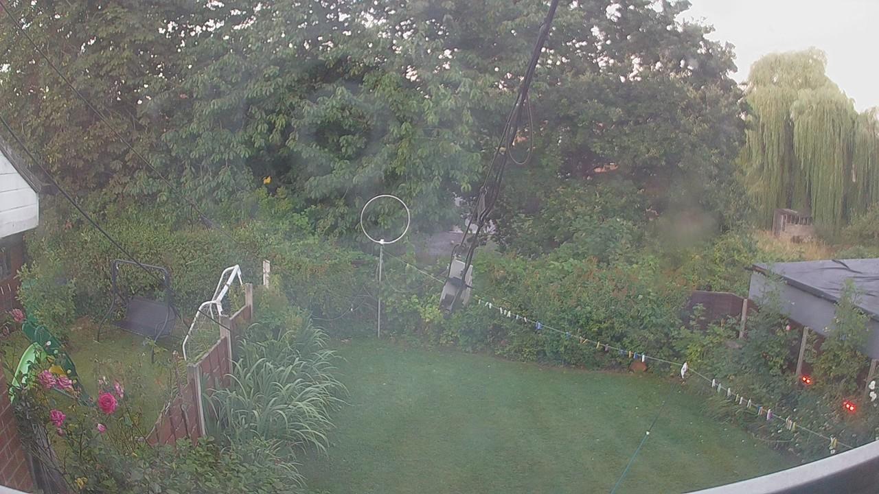 20260808_043553_cam1.jpg