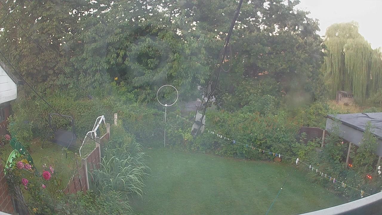 20260808_045036_cam1.jpg