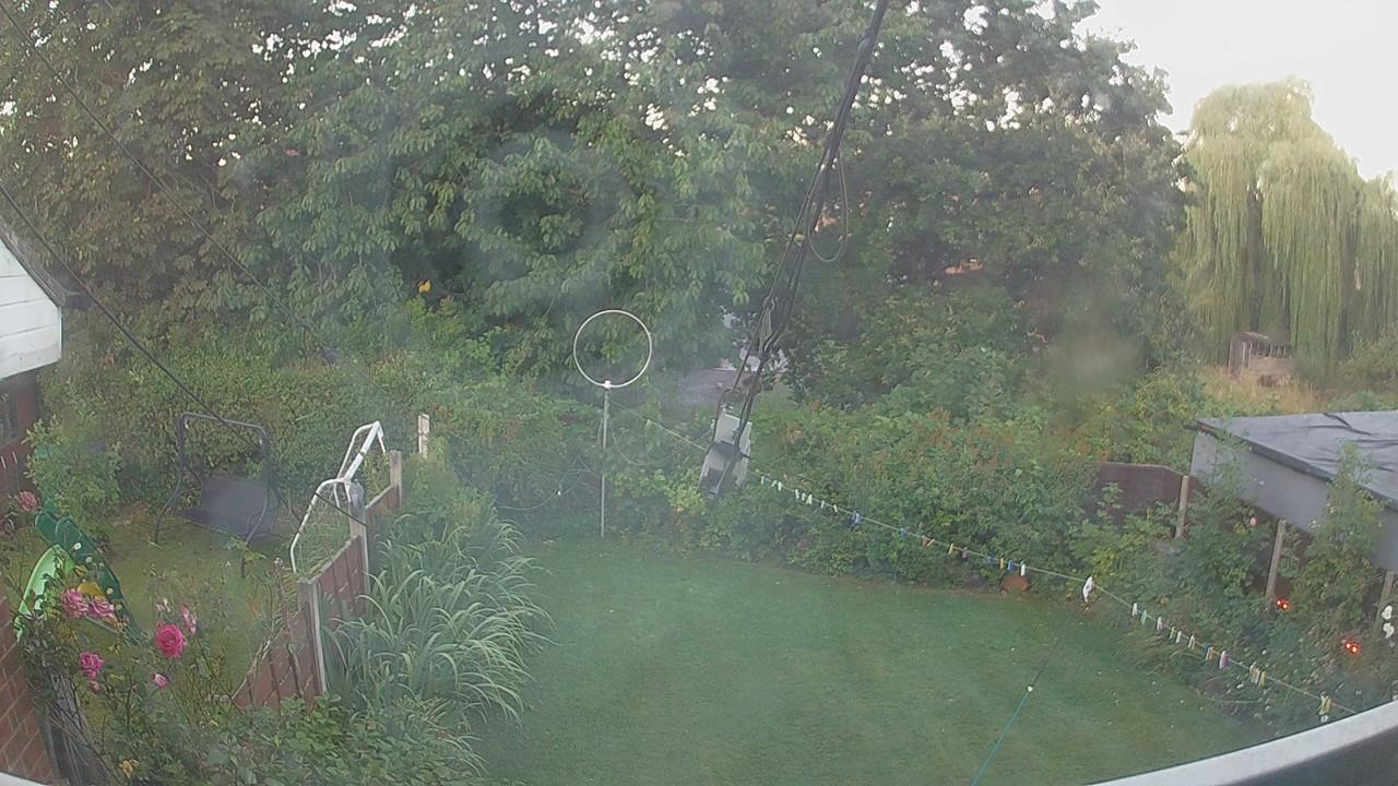 20260808_045530_cam1.jpg