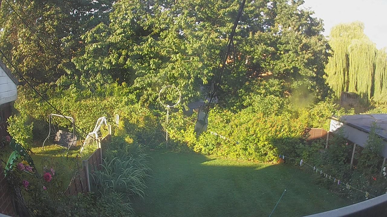 20260808_064932_cam1.jpg
