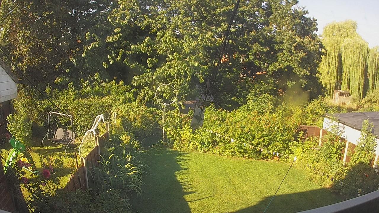 20260808_074220_cam1.jpg