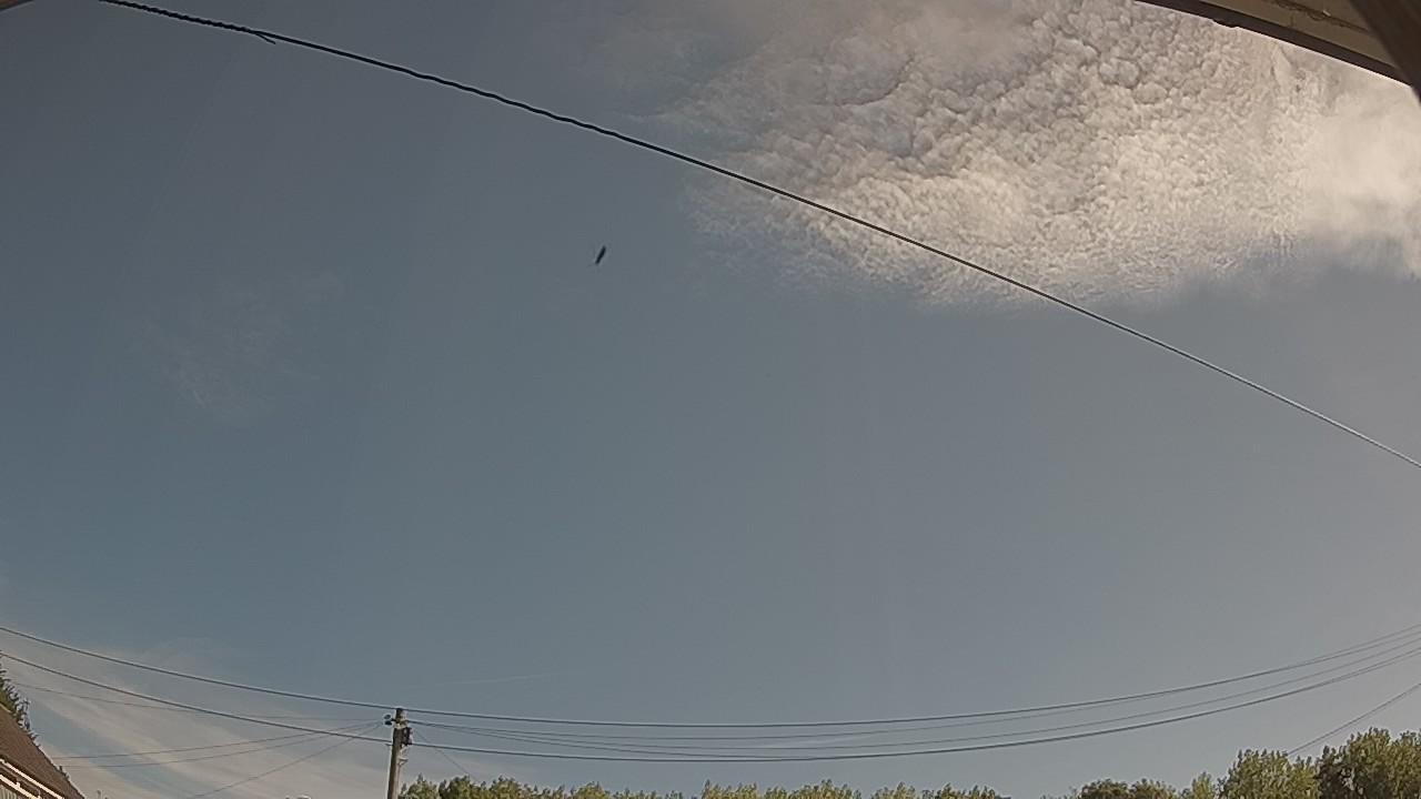 20260808_083803_cam2.jpg