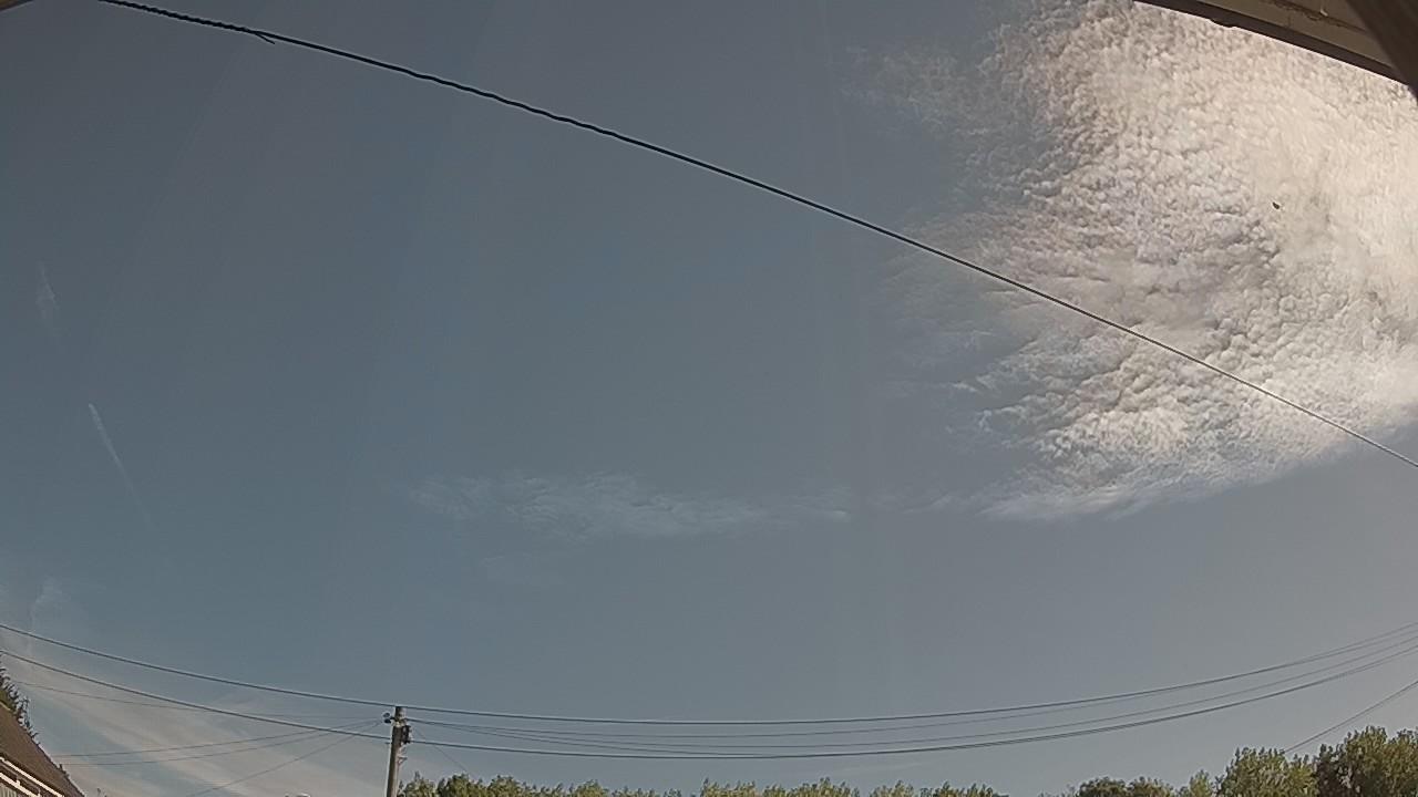 20260808_084230_cam2.jpg