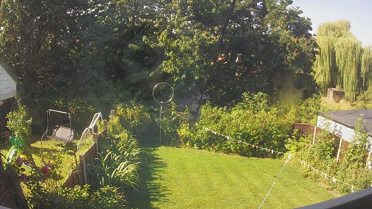 20260808_091415_cam1.jpg