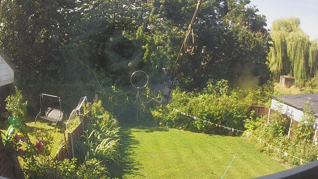 20260808_094101_cam1.jpg