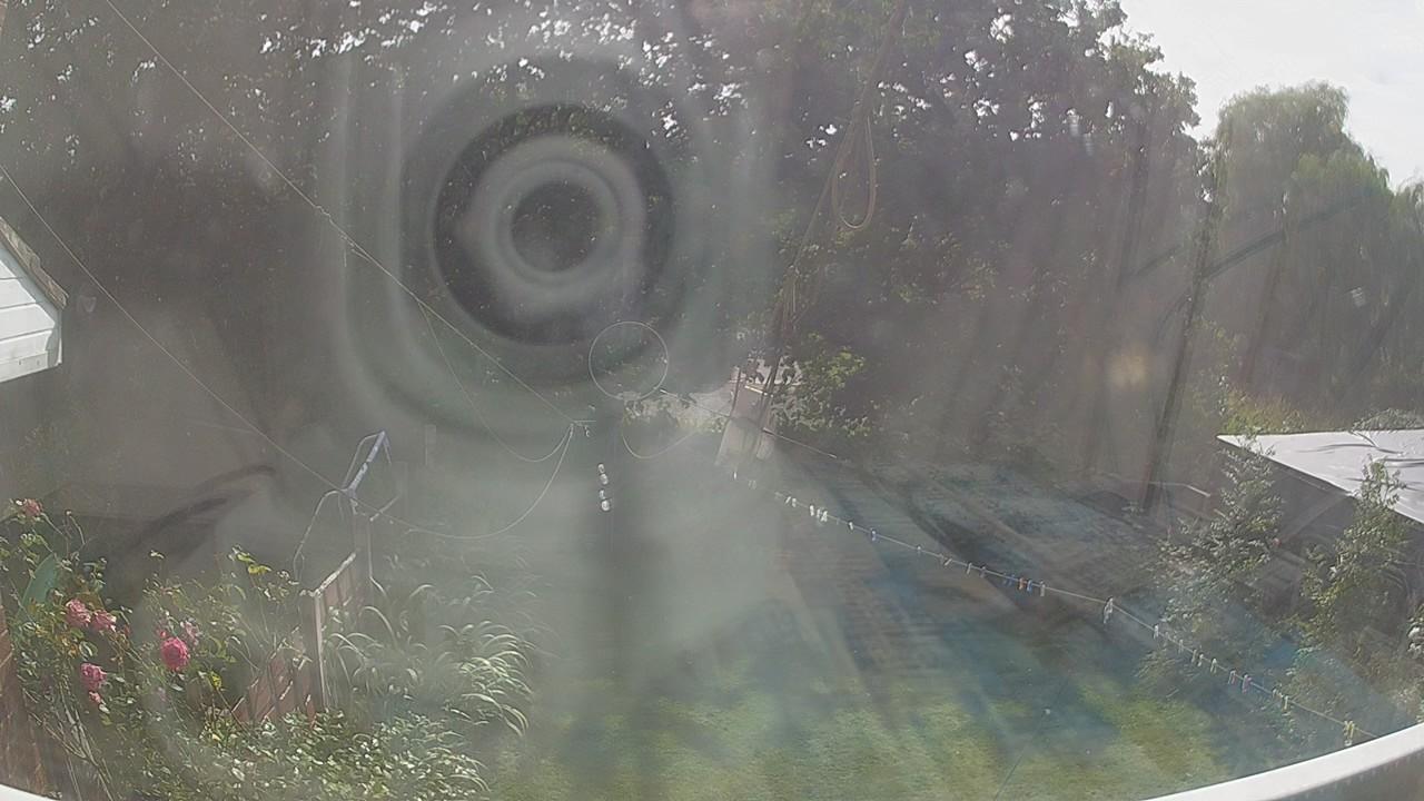 20260808_150132_cam1.jpg