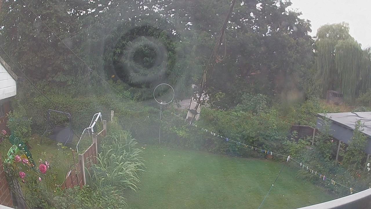 20260808_173535_cam1.jpg