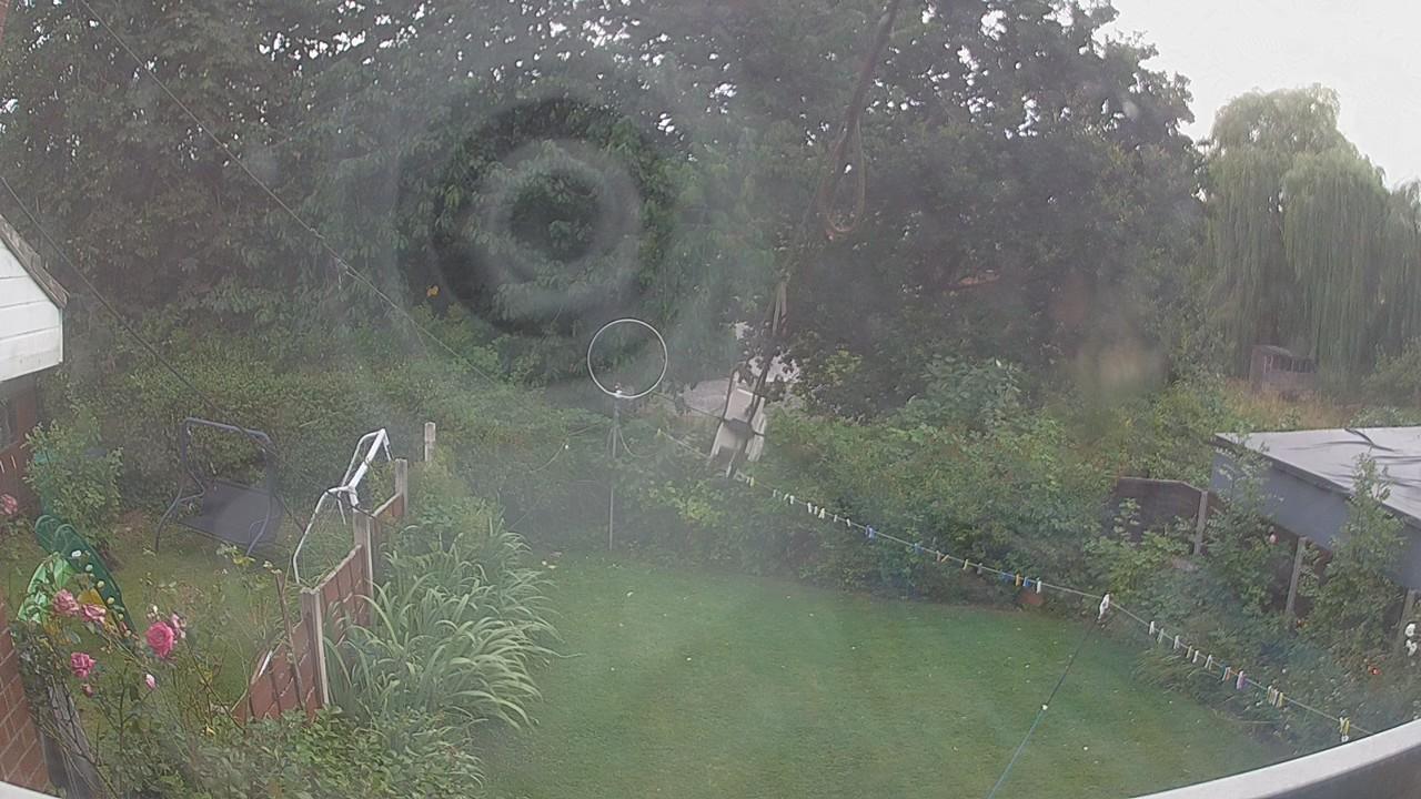 20260808_173926_cam1.jpg