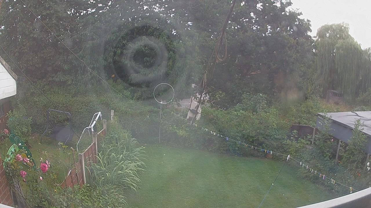 20260808_175101_cam1.jpg