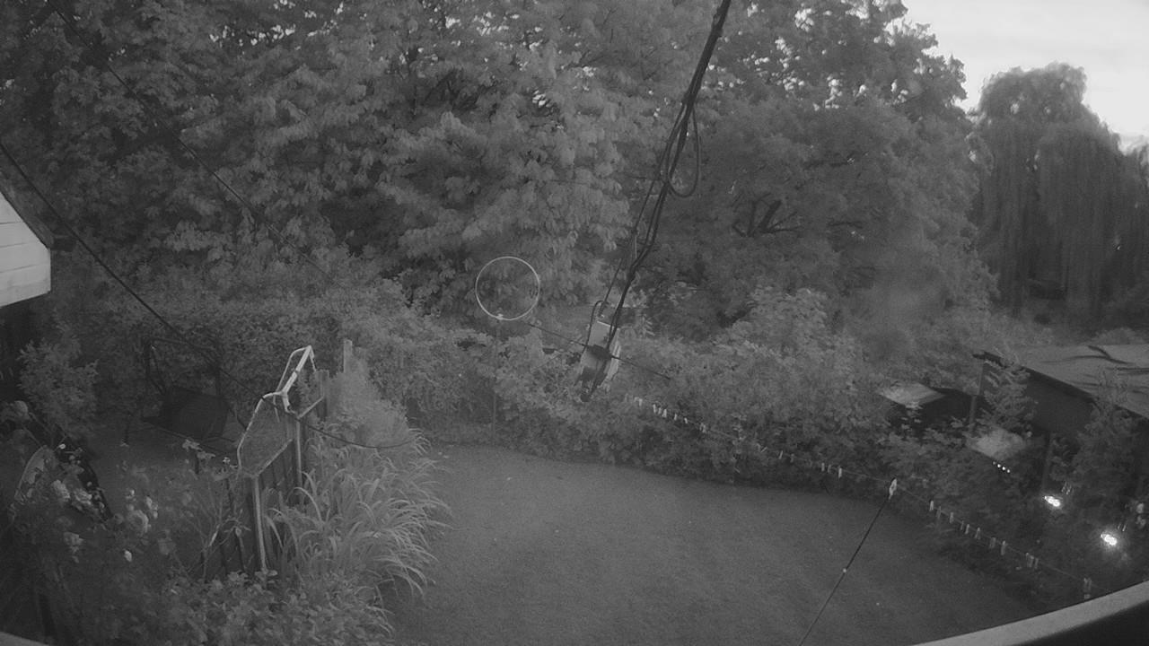 20260808_202104_cam1.jpg