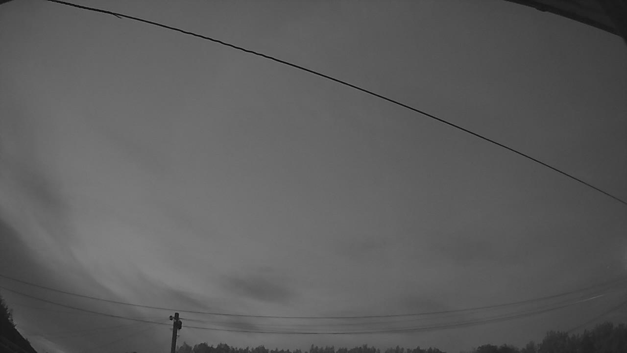 20260808_202959_cam2.jpg