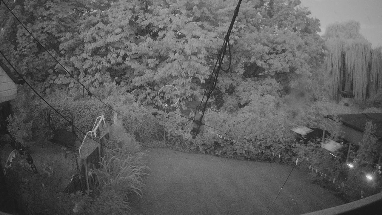 20260809_040316_cam1.jpg