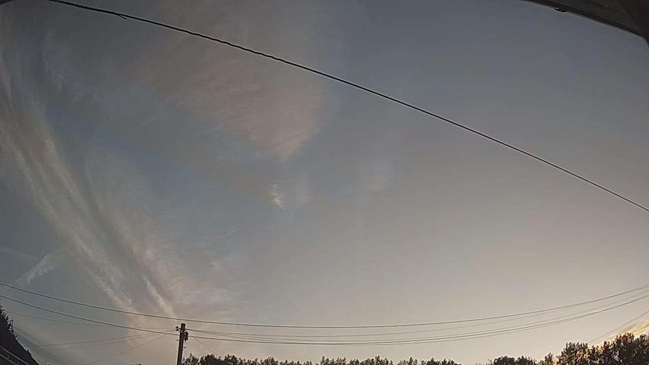 20260809_045000_cam2.jpg