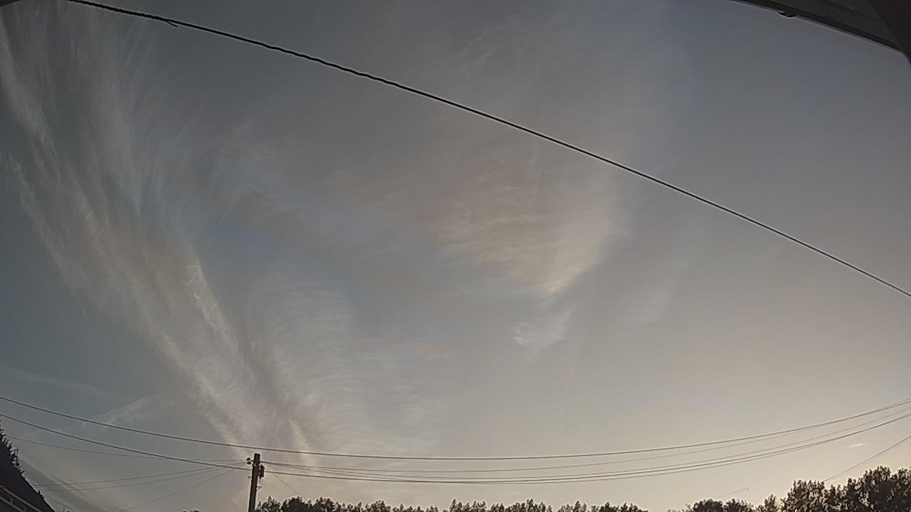 20260809_045445_cam2.jpg