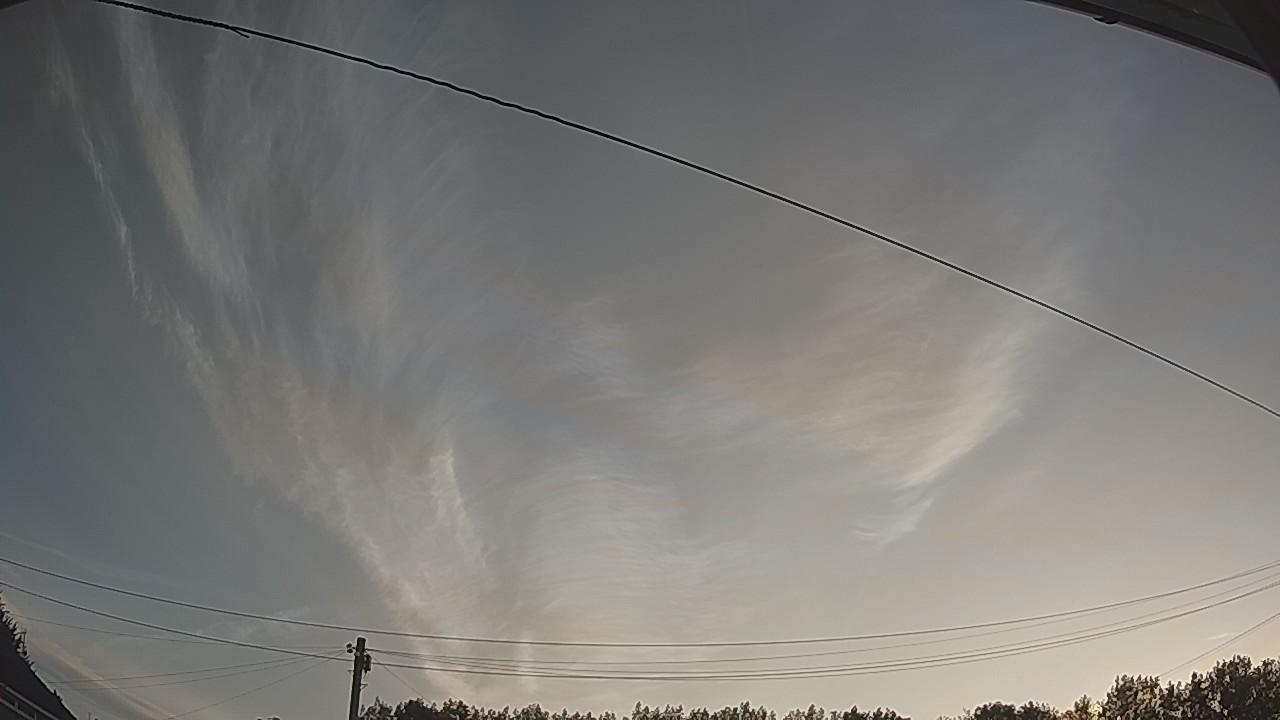 20260809_045920_cam2.jpg