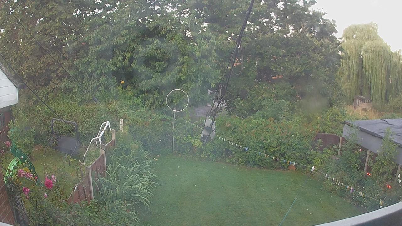 20260809_050356_cam1.jpg