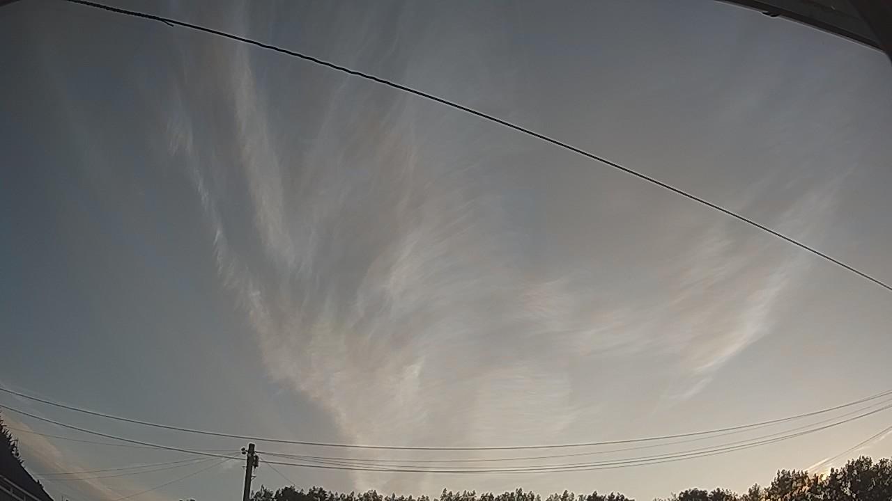 20260809_050357_cam2.jpg