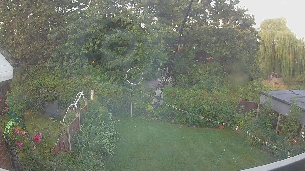 20260809_050832_cam1.jpg